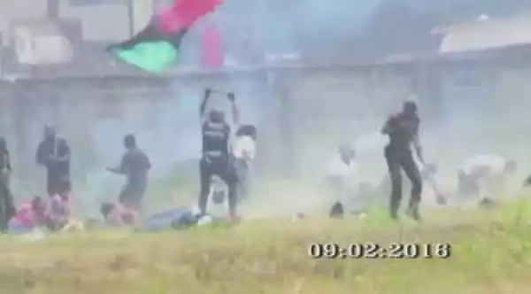 Shocker! See How the Nigerian Army Killed 150 Pro-Biafran Agitators in Broad Daylight (Video)